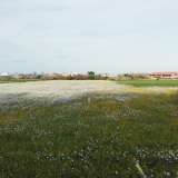 Siamo ormai alla fine del nostro viaggio ma ci spingiamo ancora un po� oltre su via Gentile per farci sorprendere da un panorama che assume i tratti di un quadretto. Sulla nostra sinistra si apre una sconfinata e ridente distesa di margherite bianche e gialle 